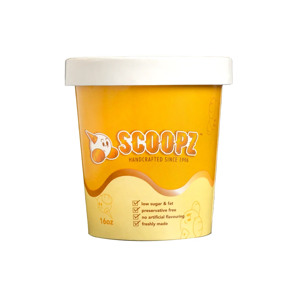 Handcrafted Dark Rich Cacoa Taste Est 8 months Shelf Life Soft Classic Chocolate Ice Cream (16oz Pint) Made in Singapore