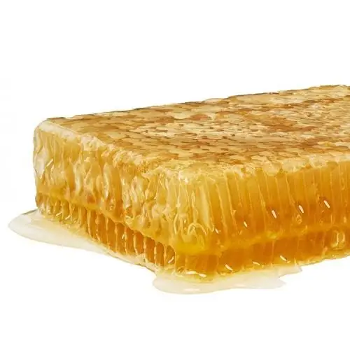 100%  Natural Pure Bee Honey From Bangladesh