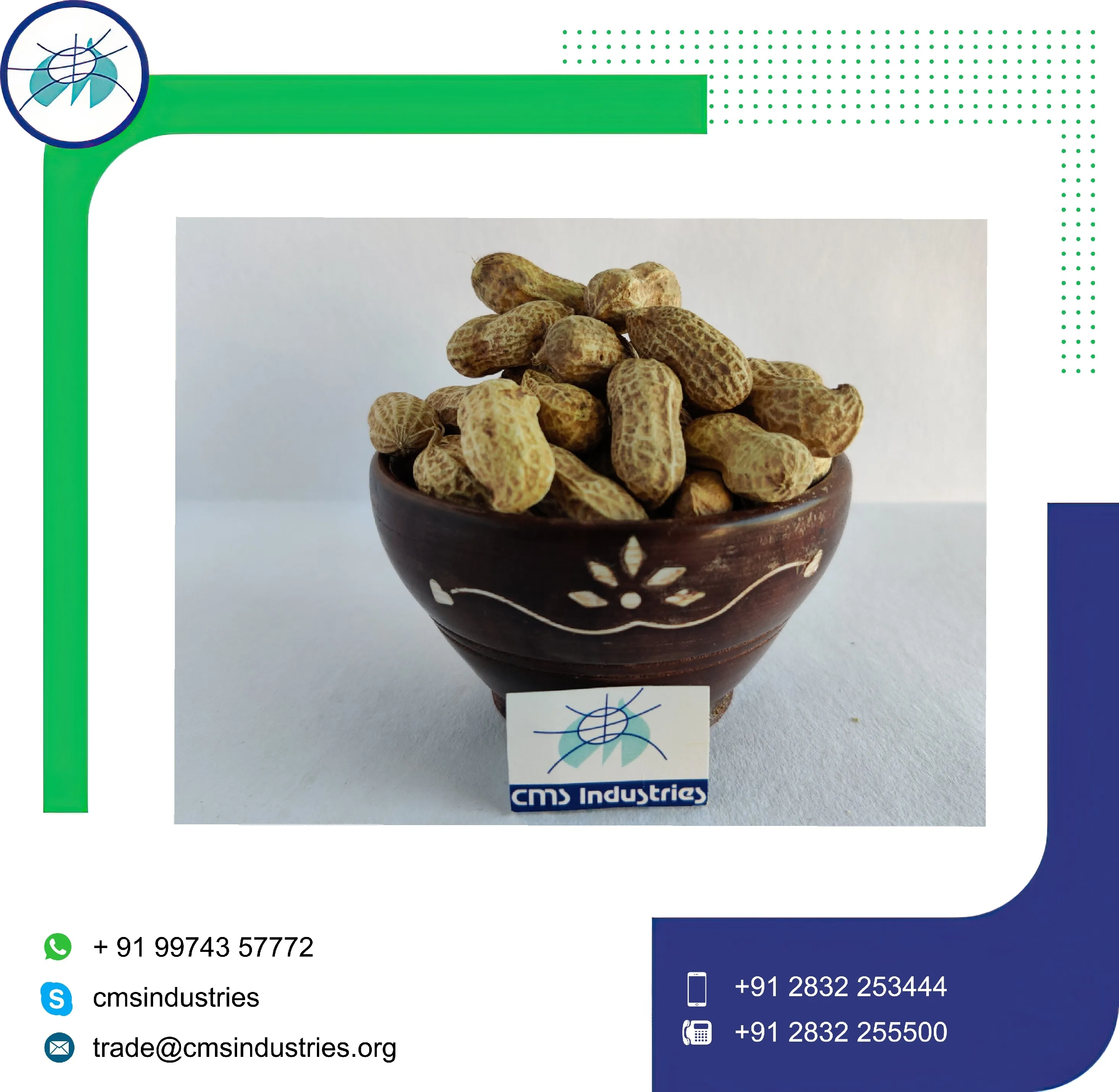 Надежный поставщик заземляющих гаек в корпусе