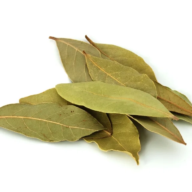 Organic Bay Leaf Dried Organic Wholesale Hot Wholesale Hot Food Seasoning Whole Single