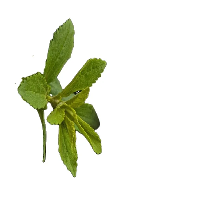 Безупречные детские носки высокого качества, стевии сахар из стевии