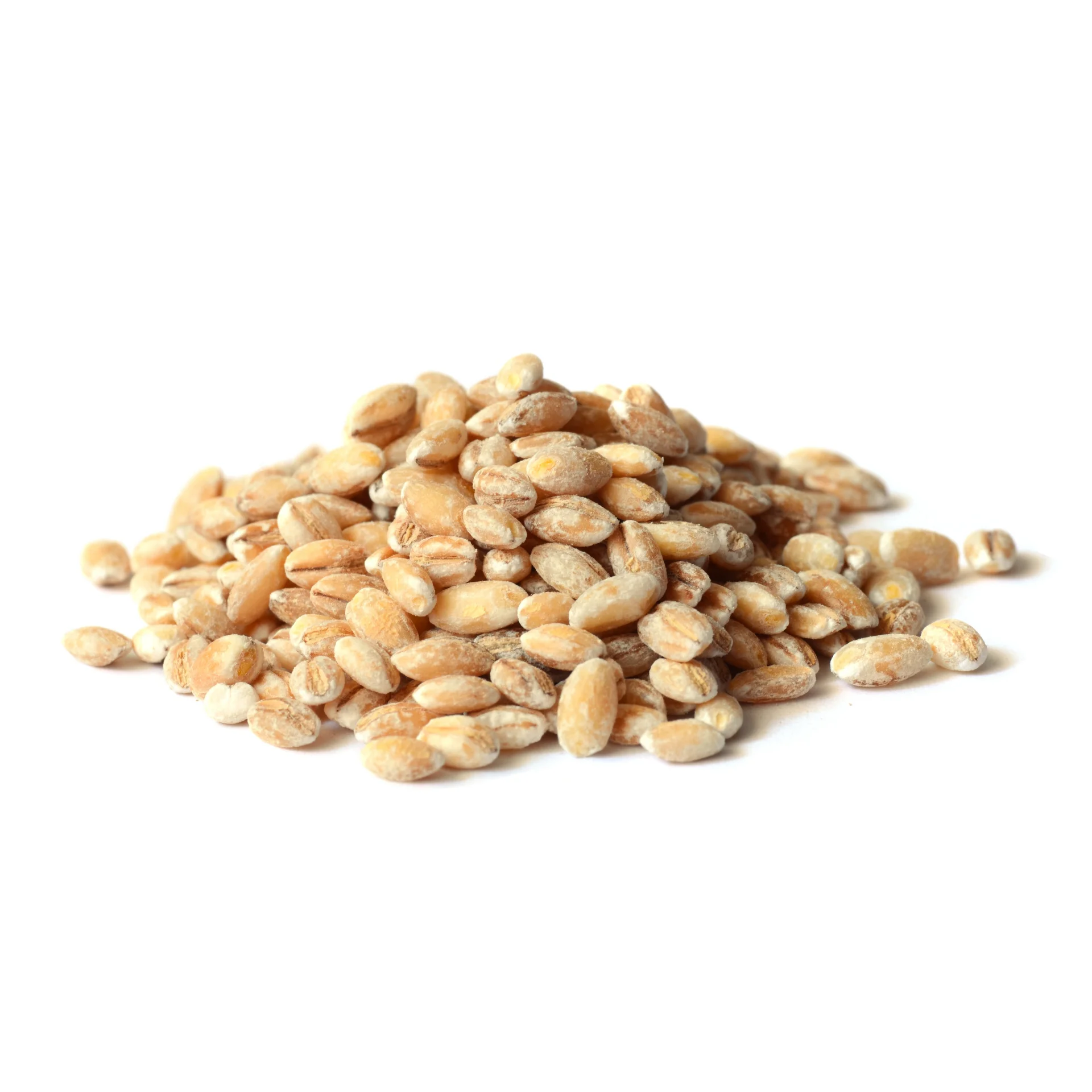 Ячмень-высокое качество