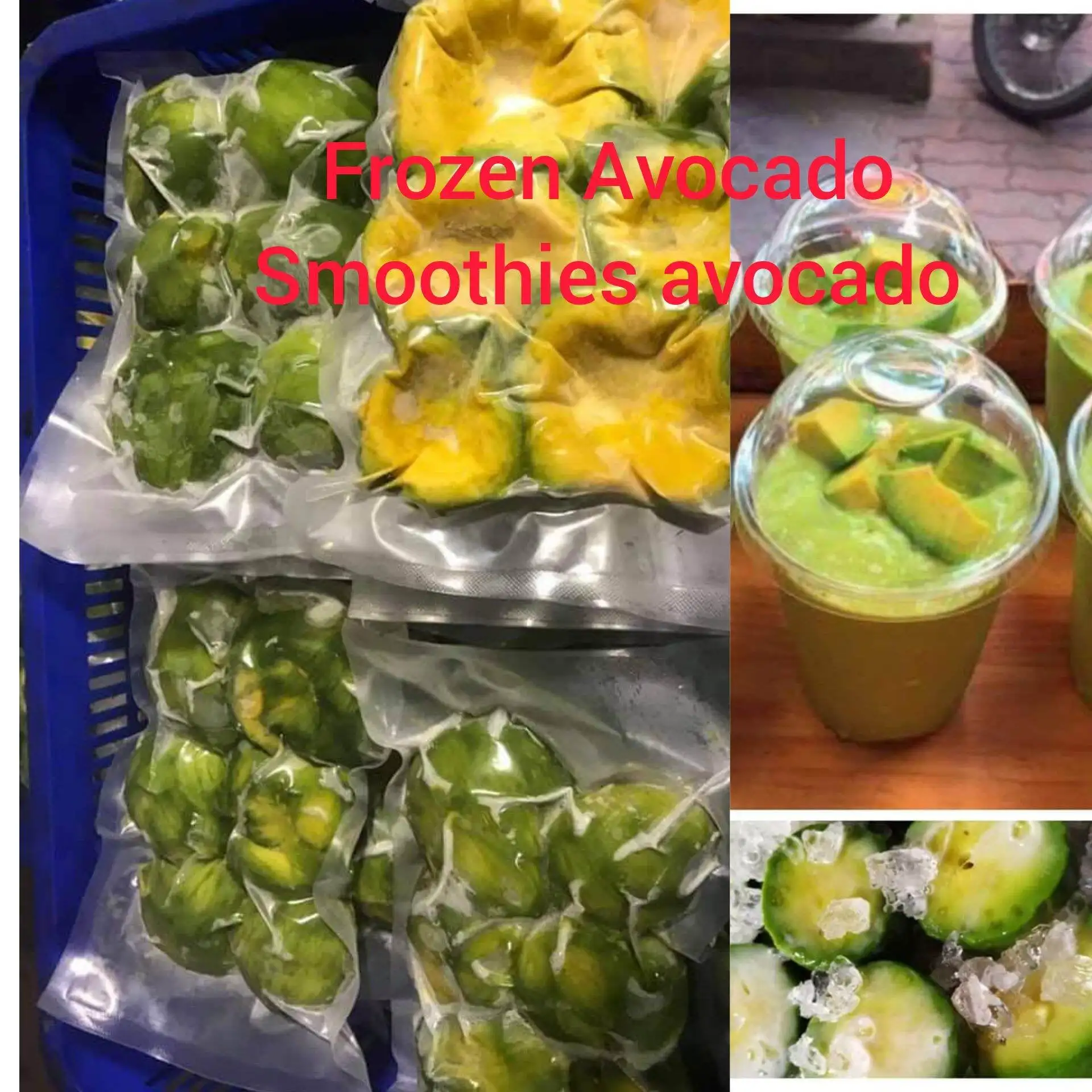 Top Quality Frozen Avocado Fruit HACCP ISO HALAL Certification  -18 Celsus degree booth 034