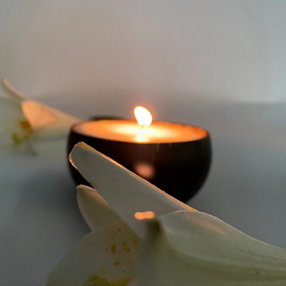 
Lavender Soy Candle in Real Coconut Shell - Vietnam Handicrafts - OEM, ODM 