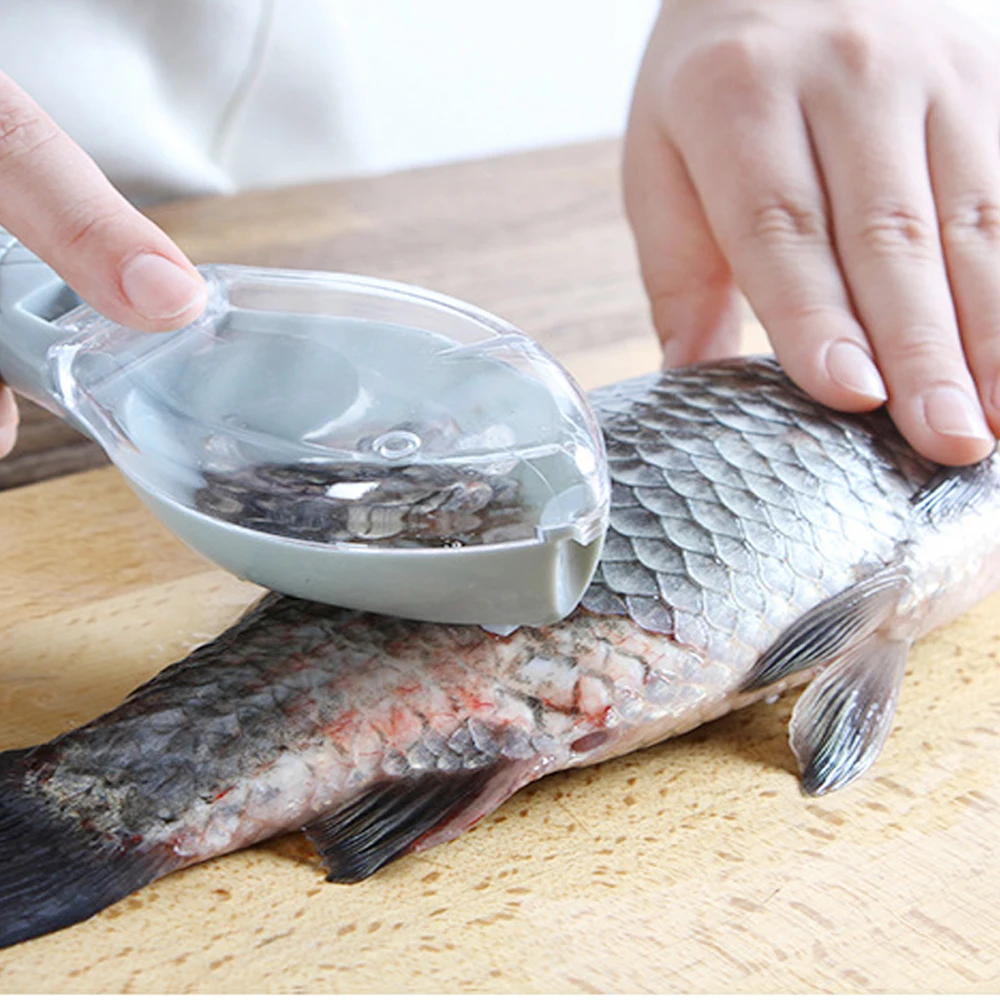 
Dried Fish Scales Dry Scales Dry Fish Scale Fish 