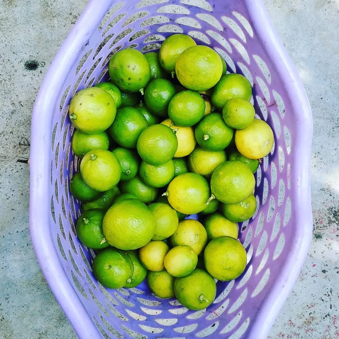 Lemon/Fresh Lemon/Lime/Fresh Lime!