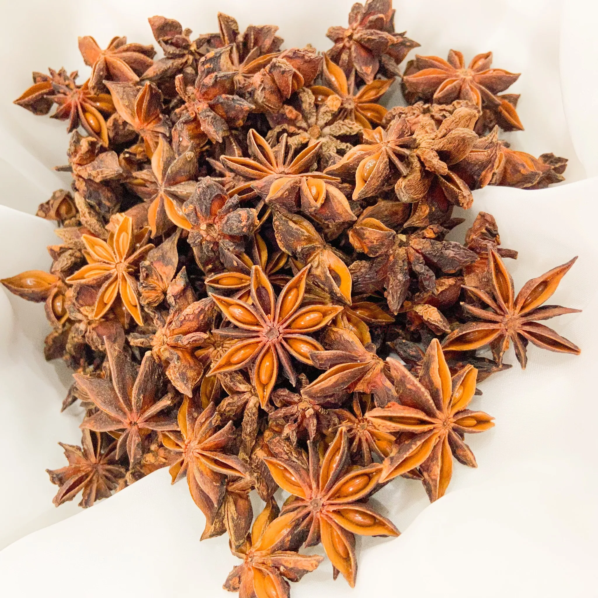 Whole Star Anise Grade AA High Quality Autumn Crop Big Size Rich Oil Content Product by Factory Origin from Vietnam