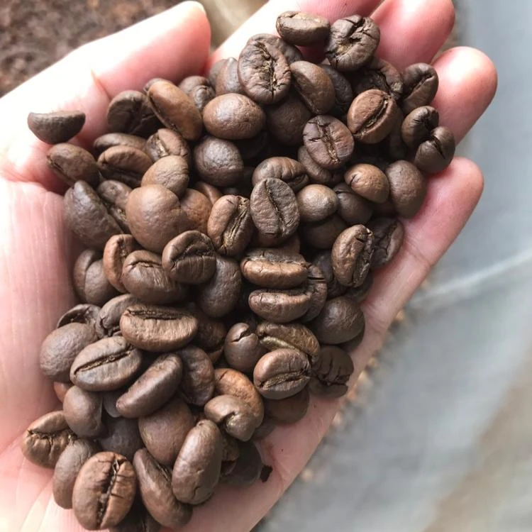 Лучшие кофейные зерна доступны по самой низкой оптовой цене