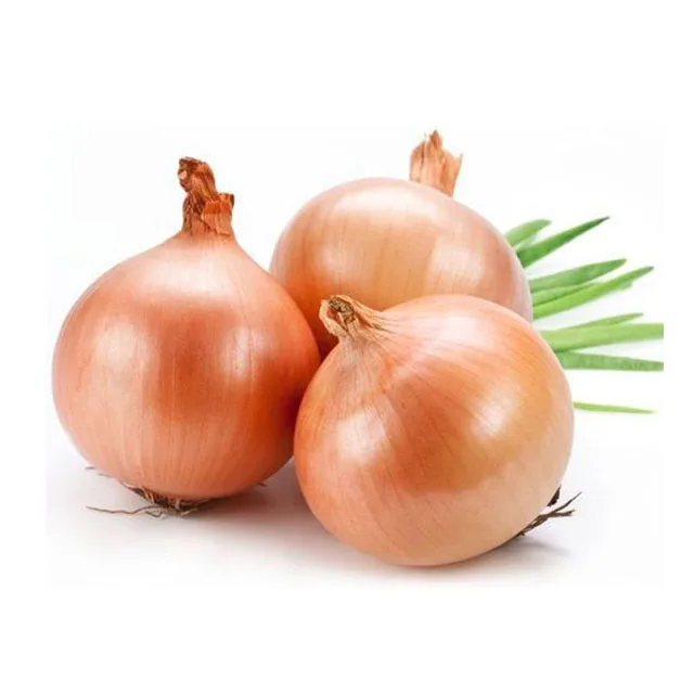 100% Natural Product High Quality Certificated Food Grade Price Ton New Crop Vegetables Fresh Onions