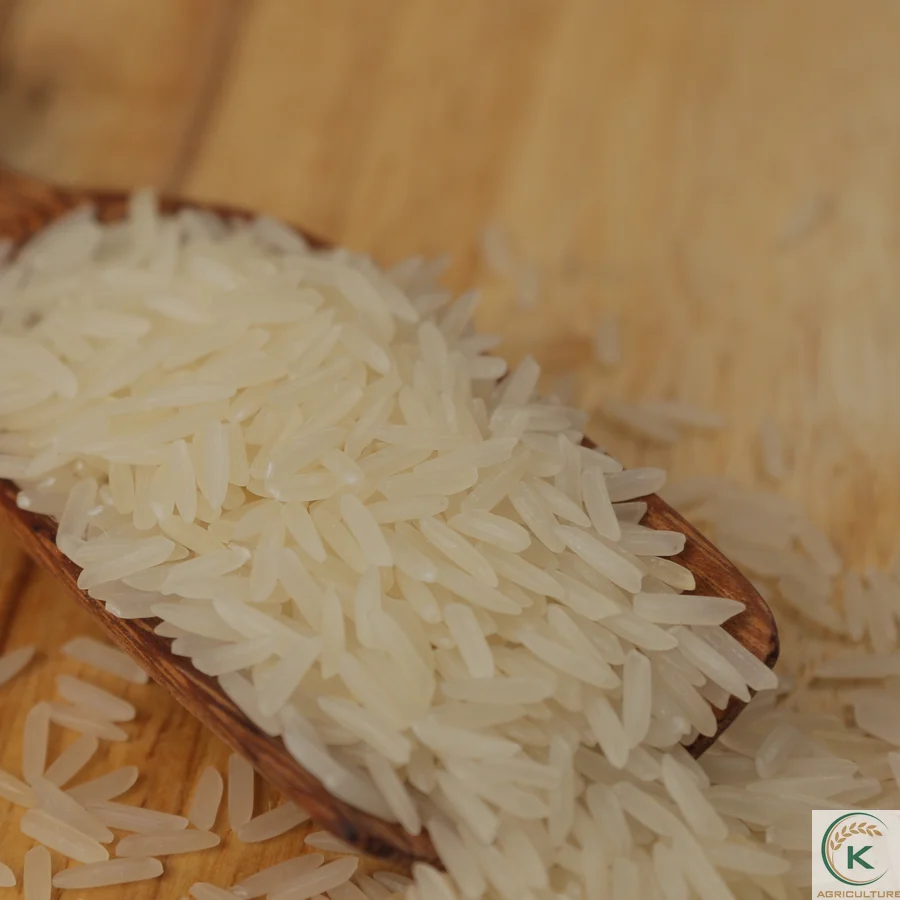 [Вьетнам] Новый урожай риса st25 натуральный рис из Вьетнама с низким содержанием сахара