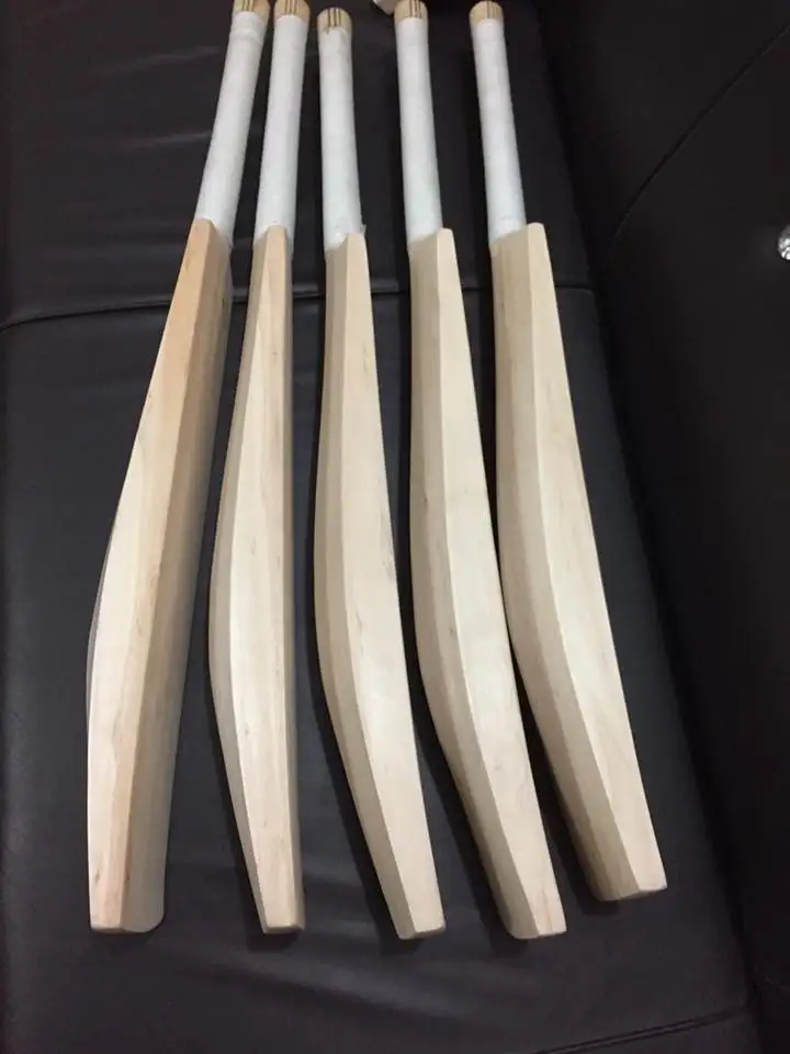 
Plain English Willow Cricket Bat 