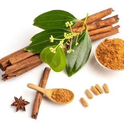 TOP SALE STICK CINNAMON / CINAMON / CASSIA PREMIUM QUALITY FROM VIETNAM
