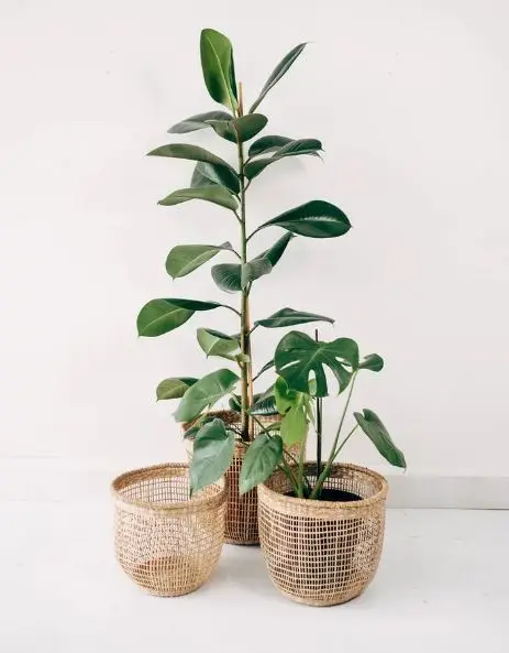 
Hot Trend in 2021 Natural Seagrass Storage Basket Recycle Rattan Storage Baskets Woven by Skillful Artisans Made in Vietnam 