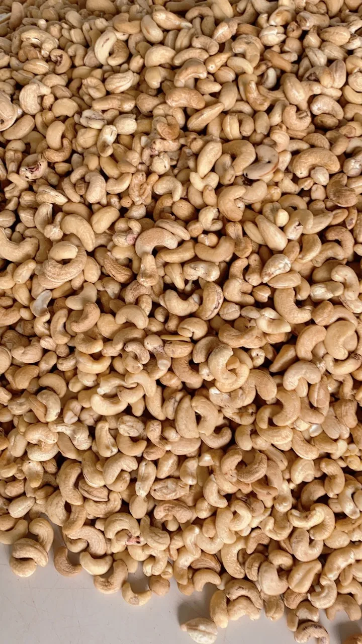 Cashew Nuts   - 100% natual cashew nuts high quality cashew w320 BB/LP/WS from Vietnam