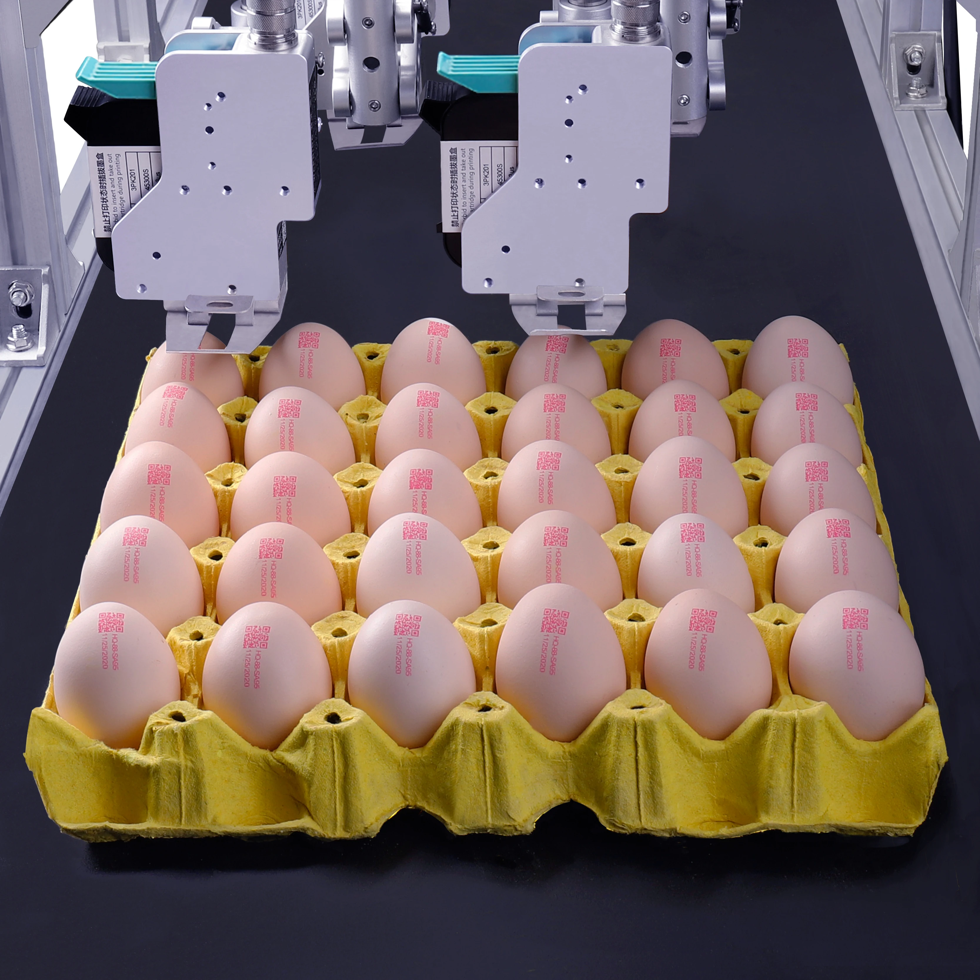 DOCOD T600-EY6S 76.20mm Online EGG inkjet printer( 6-Heads, encrypted version) Thermal inkjet printer TIJ printer