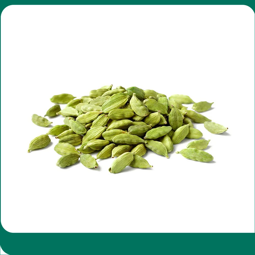  Мелко обработанные органические зеленые травы кардамона из таиланда для оптовой продажи