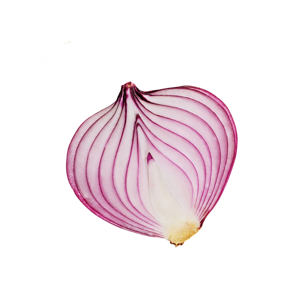 Top Quality fresh organic onions whloesalers Fresh Red Onion