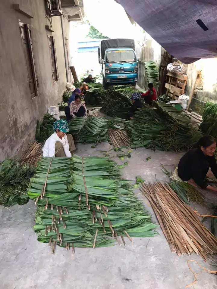 vietnam bamboo leaf (1).jpg