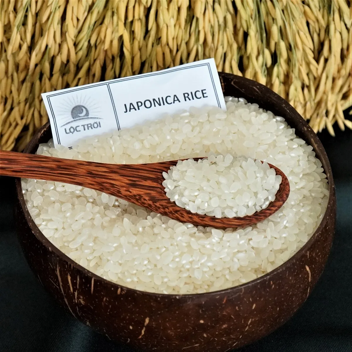 Wholesale Premium Grade Quality Short & Round Rice White Color Japonica Rice DS1from Vietnam Best Supplier