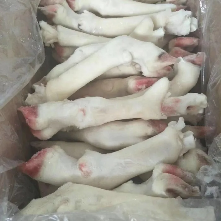 
Frozen Lamb feet / Lamb meat for sale 