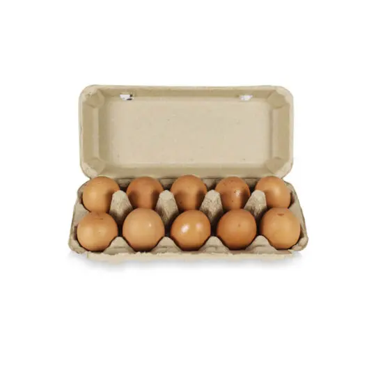 Egg Carton Paper Pulp Egg Tray From Thailand