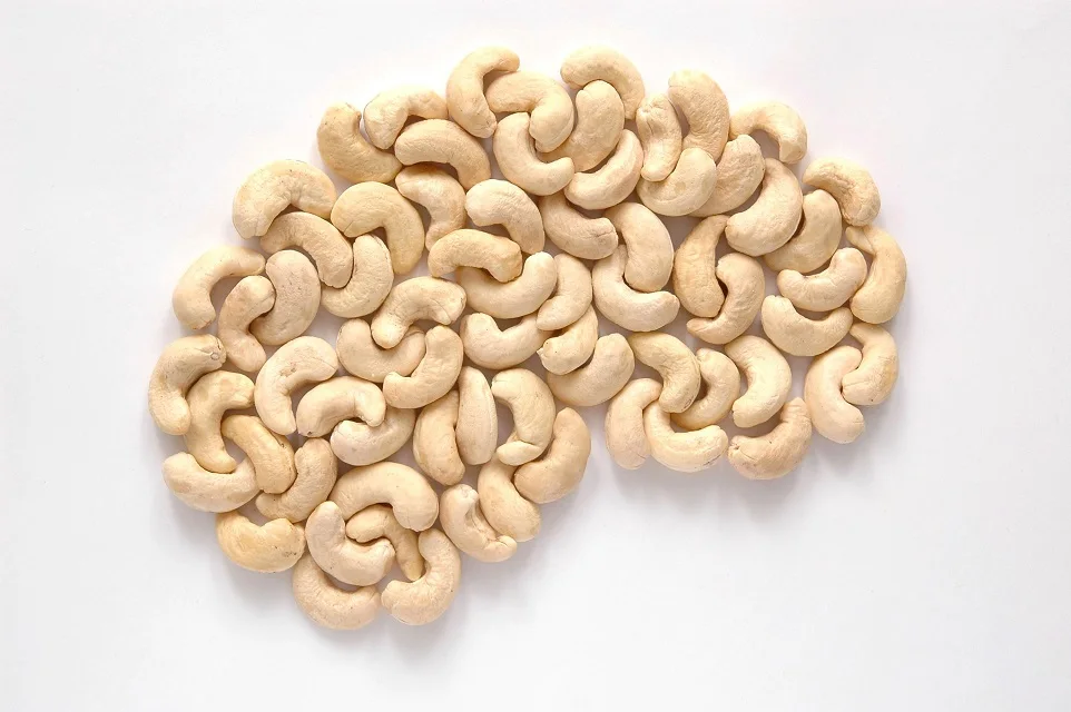 High quality Cashew Nuts W320 W240 W180 Best Selling Nut and Kernel in Vietnam
