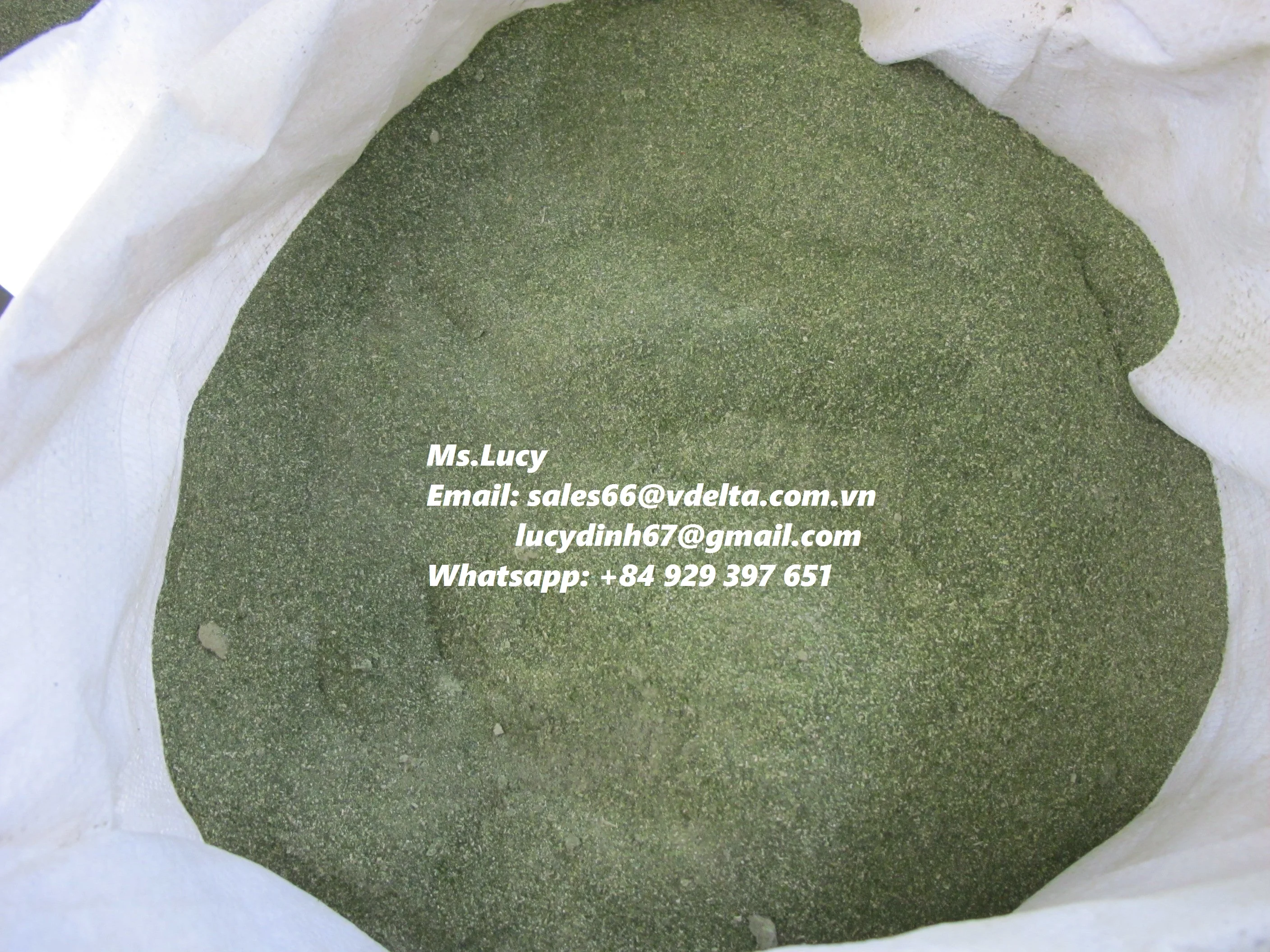 Лидер продаж порошок из зеленых водорослей/Ulva Lactuca высокого качества/Ms. Lily + 84 906927736