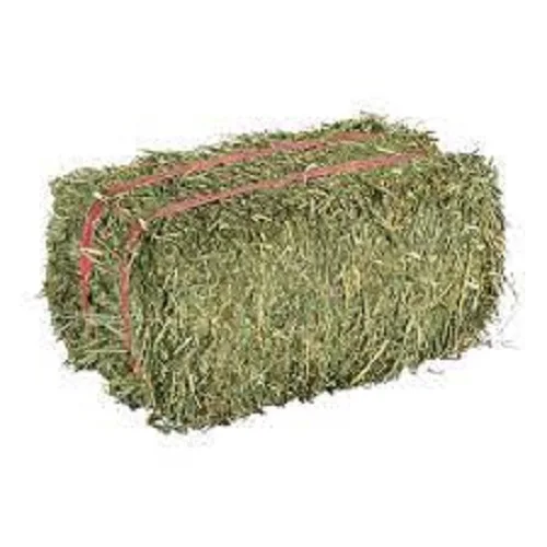 Продажа тюков для сена