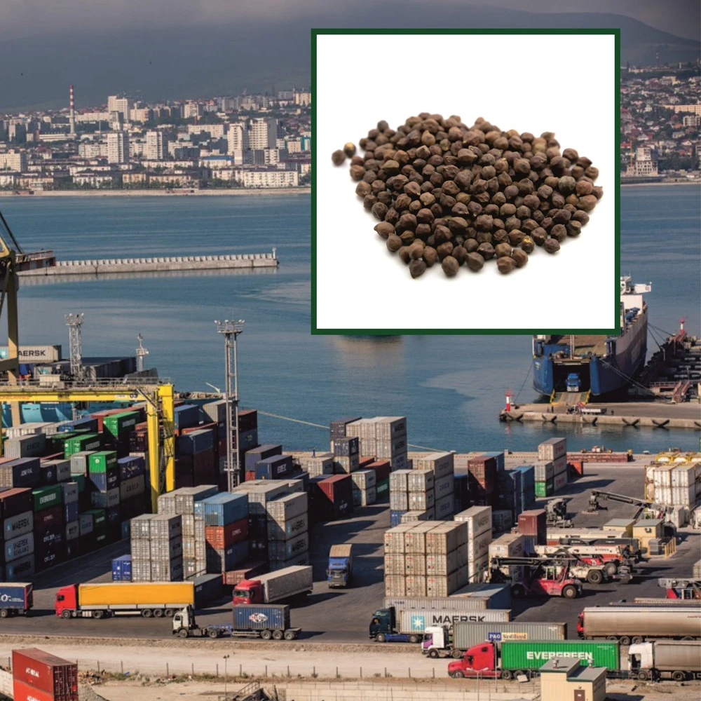 Quality red desi chickpeas  any quality requirements, wholesale prices