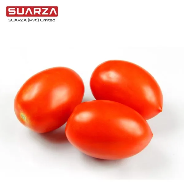 Сезонные Органические свежие томаты для продажи из Пакистана/Лучшая цена на пакистана