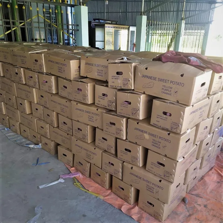 Стандартный тип Экспорта овощного свежего сладкого картофеля высокого класса