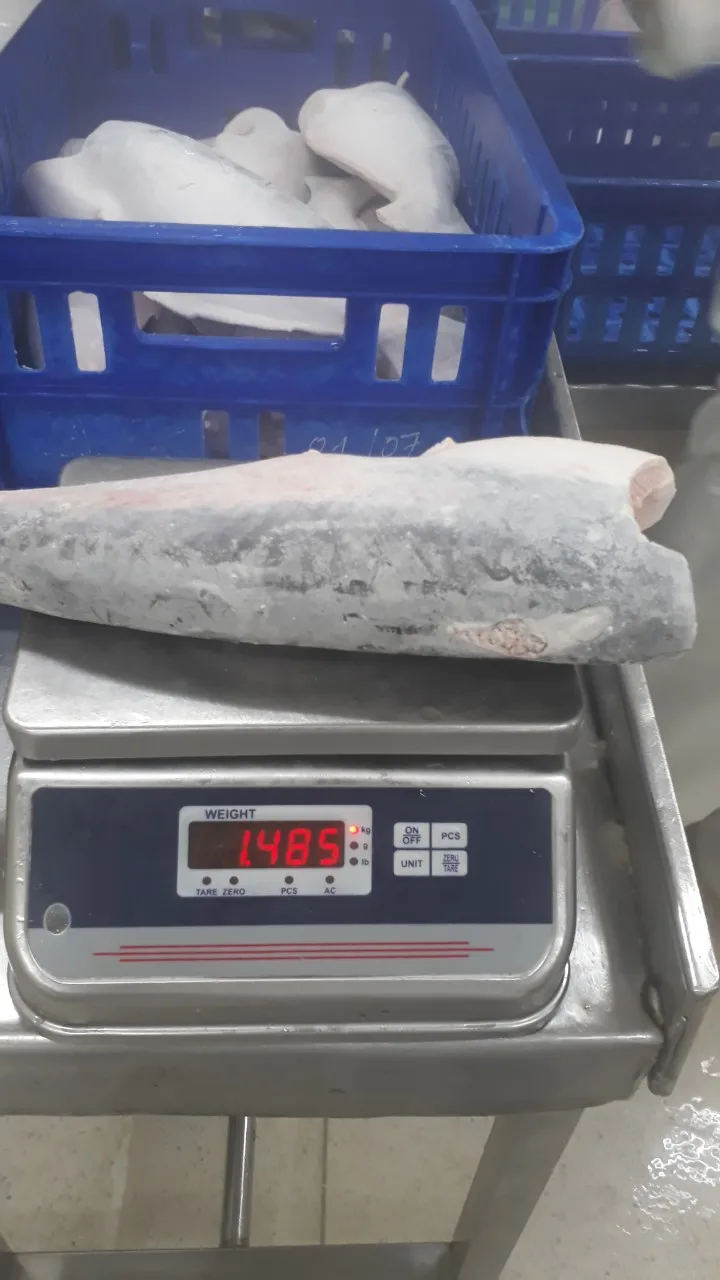 Frozen Pangasius HGT/Basa/Pangasius Hypophthalmus Origin VietNam