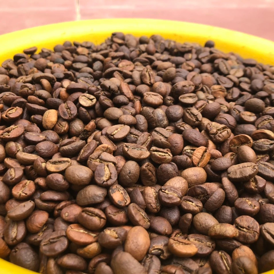 Жареные кофейные зерна/пудра премиум-класса ROBUSTA-WHATSAPP + 84976727907