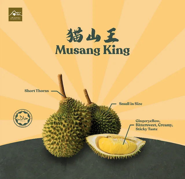 [MUSANG KING] TOP QUALITY GRAGE A EXPORT WHOLE FRUIT