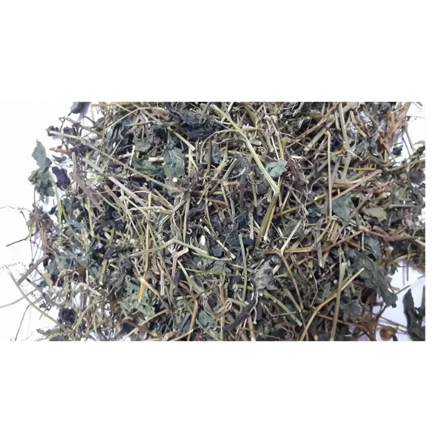 Dried Jiaogulan Herbal Organic Jiaogulan Tea Good For Health Premium Product From Thailand
