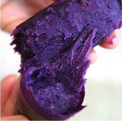  Лидер продаж 1 2021 долларов экспорт японского сладкого картофеля из Вьетнама для оптовой продажи/Ms Sofia + 84 789946878