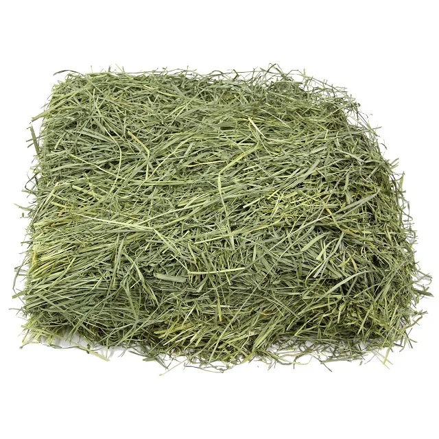 Alfafa Hay Animal Feeding Stuff Alfalfa hay/alfalfa hay pellets Timothy Hay/ in Bales Best Super Top