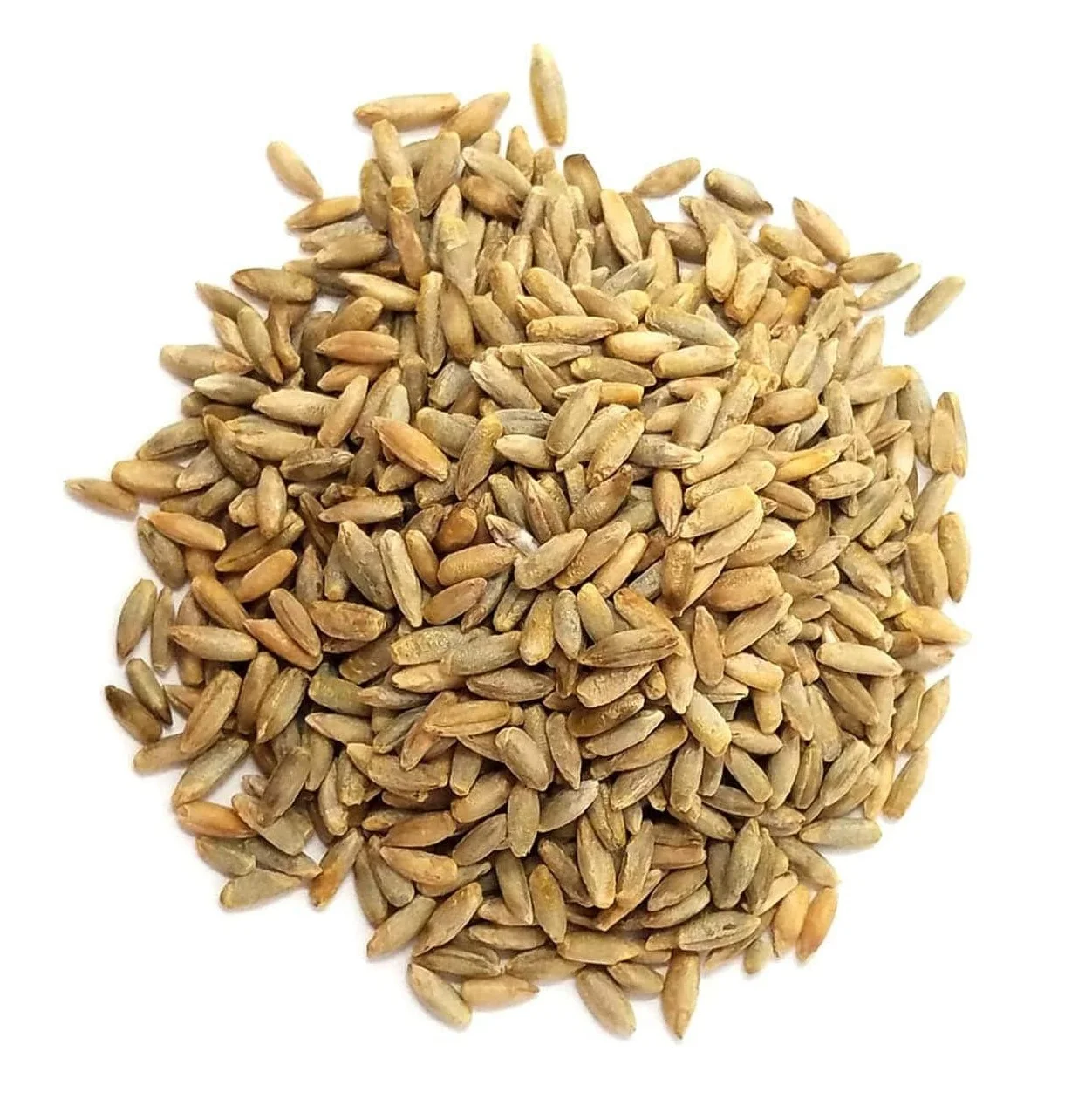 
High Quality Rye Grains Available For Sale 
