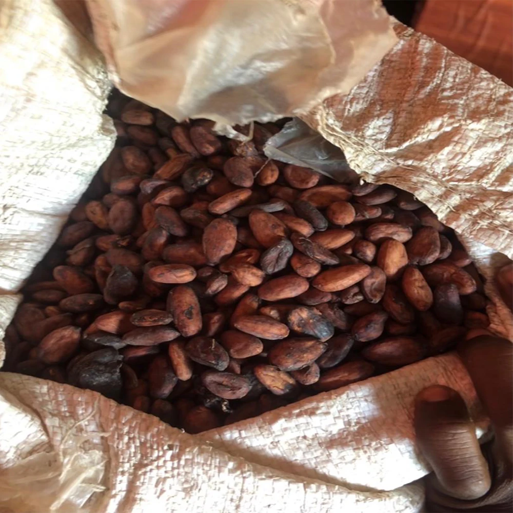 
Organic Coffee High Quality Organic Coffee Whole Grain and Enriched Taste Best Flavored Raw Coffee Beans 