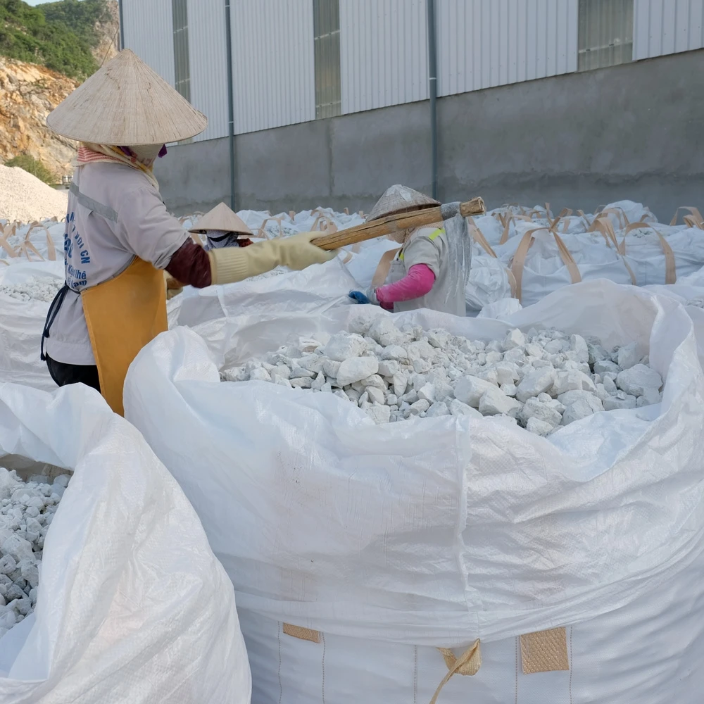 Top Quality Quick lime, oxide calcium, CaO > 90% with cheapest price made in Vietnam