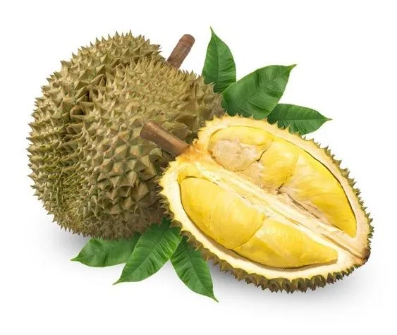 DURIAN SEEDLESS-5.jpg