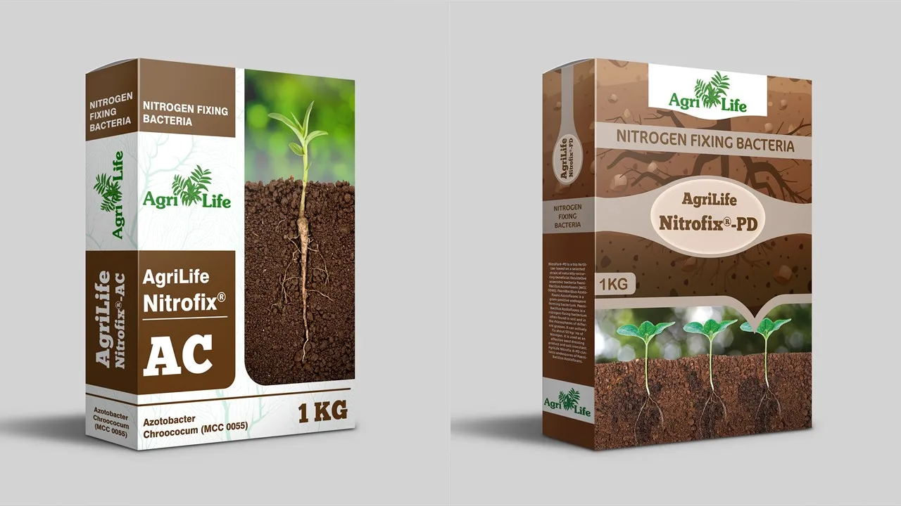 
BioFertilizer For Agricultural Use Improve Root Strength Powder and Liquid BioFertilizer Agrochemical 