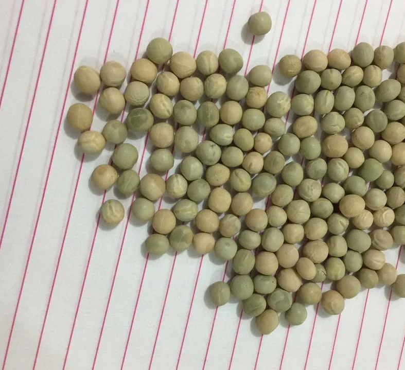 
Dried Yellow Peas and Dried Green Peas 