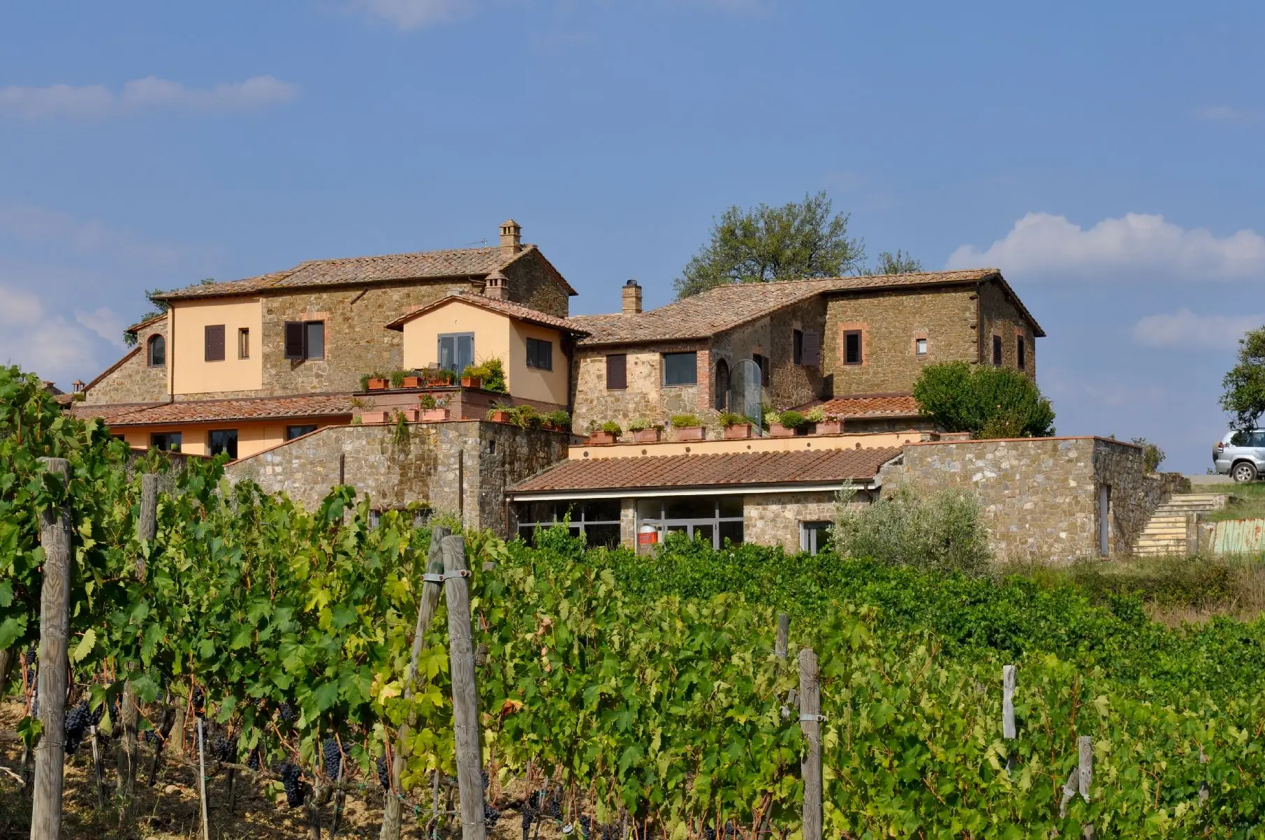 high quality italian red wine set 2 wine bottles igt and rosso  alcoholic beverage table wines