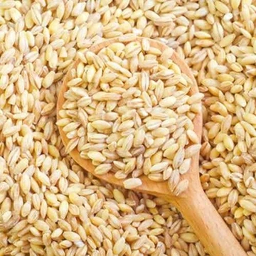 
 Organic Farm Rye grain/Winter Rye/Rye Flakes in Rye bran  