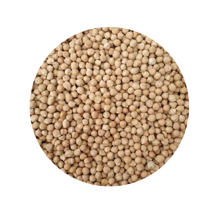 
Organic Wholesale Kabuli Chickpeas Russian Origin 