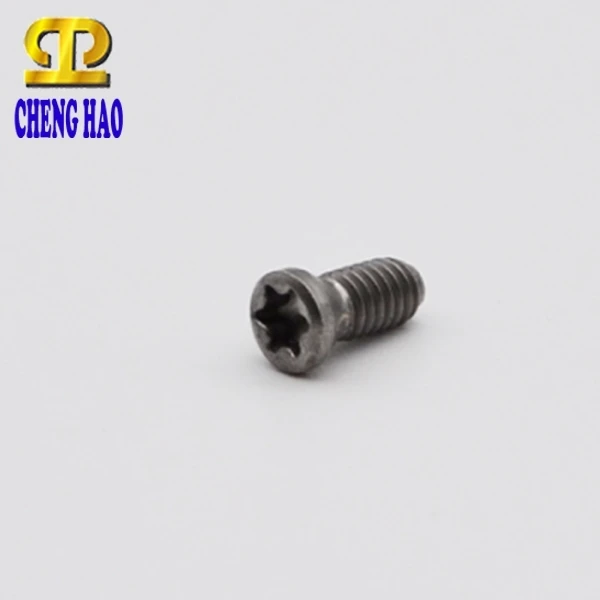 CNC-gereedschapshouder Schroef Fastener Manufacturer Milling Stainless Steel Torx Socket Screws