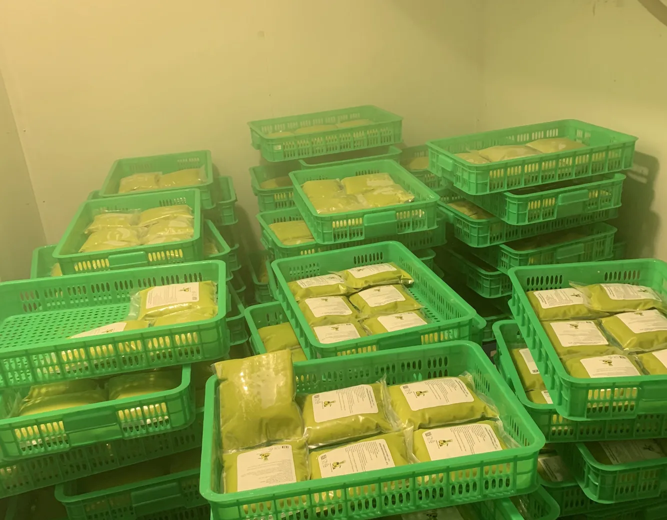 
Supplying Frozen Avocado puree/paste with top quality in Vietnam_Vikafoods (+84983028718). 