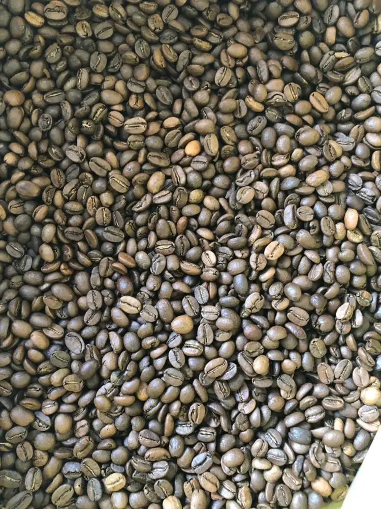  VIETNAMESE ROASTED ROBUSTA COFFEE BEANS GRADE SPECIAL 1