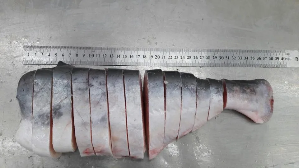 Top selling frozen Steak cut Pangaius- factory supply Frozen Pangasius/ swai/basa Fillets with ASC, BAP certificates